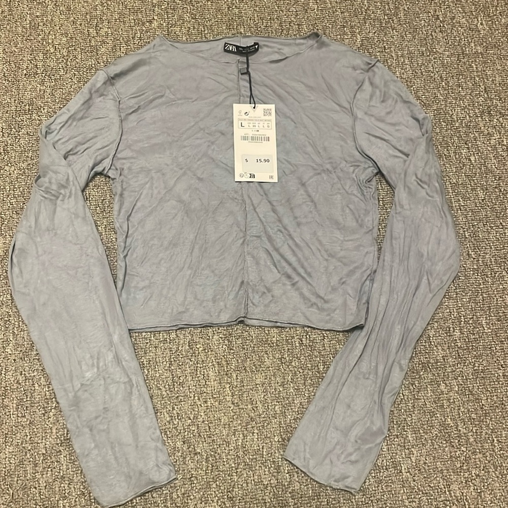 Zara Long Sleeve Crop Top